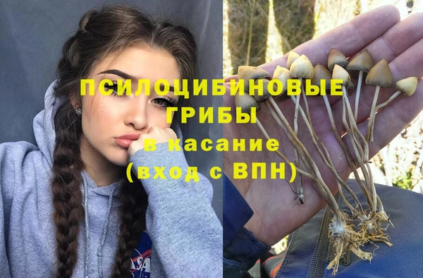 мескалин Алзамай