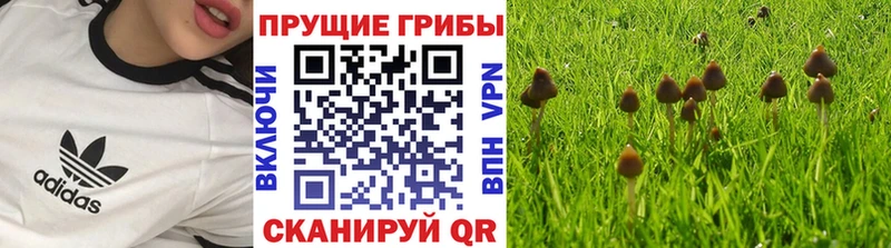 это наркотические препараты  Ишим  мега онион  Галлюциногенные грибы Magic Shrooms  даркнет сайт 